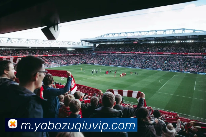 多媒体互动体验