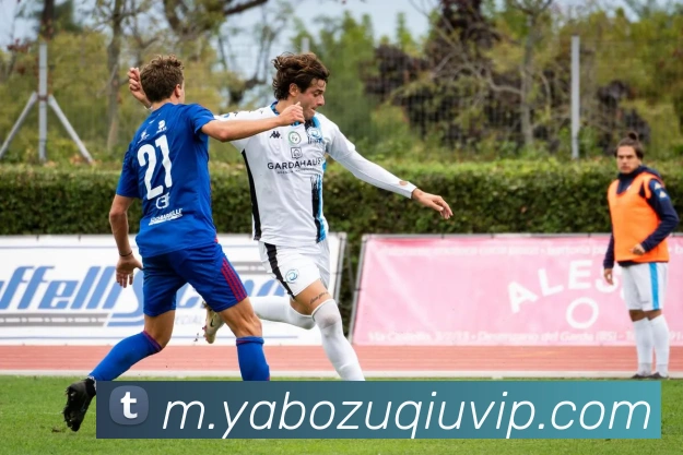 亚博体育APP 高清赛事图