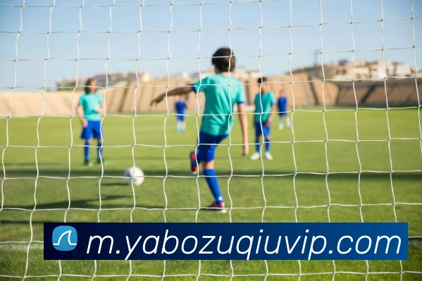 奖项证书